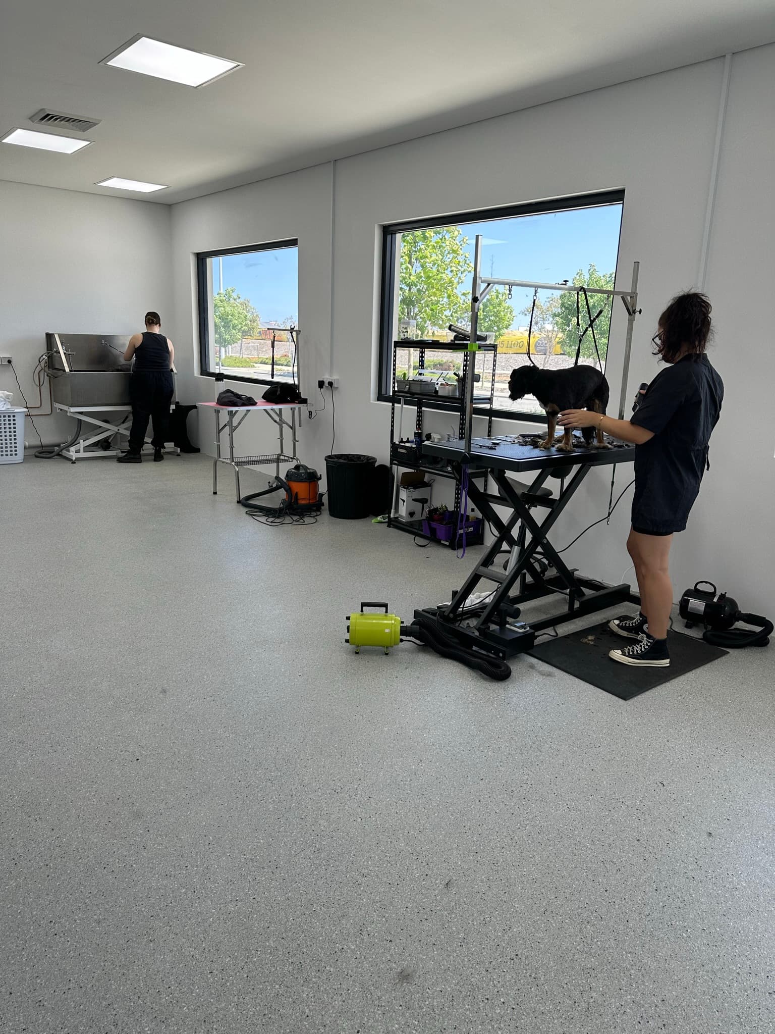 The finished Toby's Dog Grooming salon on opening day, grooming tables in place and the team at work